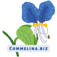 Commelina